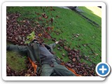 strelske_hostice_rijen_2021_29