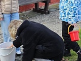Projekt Daruj srdce